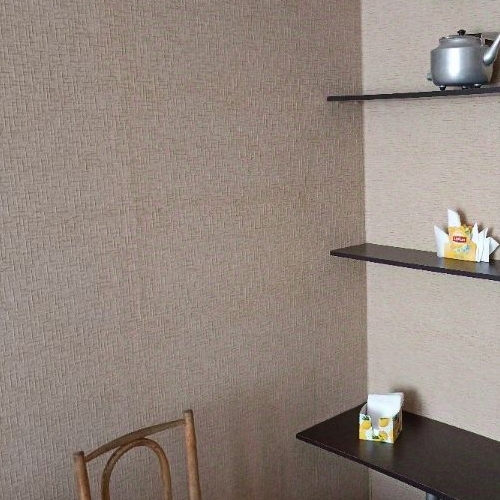 1-комн квартира д. Тихковицы, улица Северная