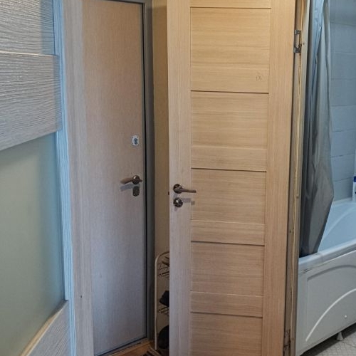 1-комн квартира Мурино, улица Шоссе в Лаврики, 57к1