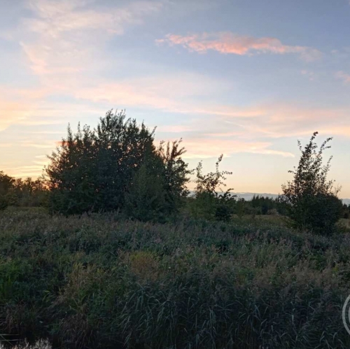 Земельный участок Пяхта дер.