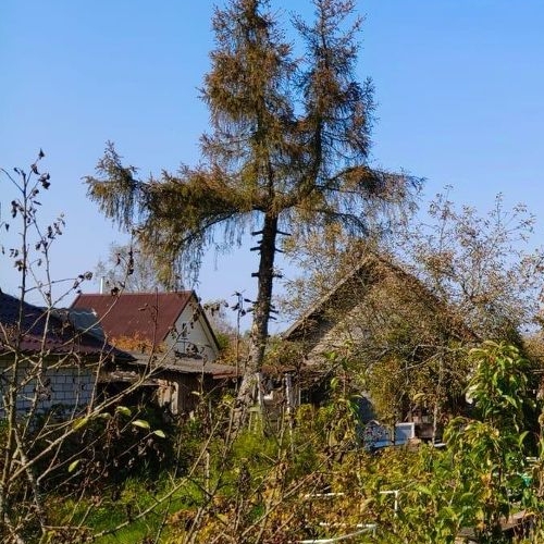 Коттедж/дом Солка садоводческий массив, Монтажник СНТ, 5-я линия, 222