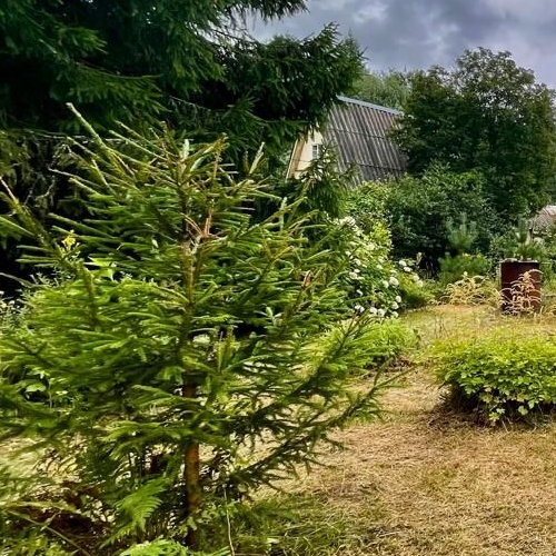 Коттедж/дом Форт Ино СНТ, 4-я линия, 73