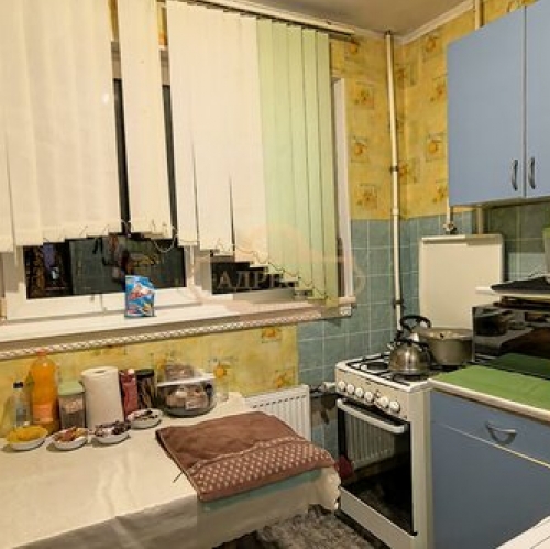 1-комн квартира Просвещения пр-кт,  д. 24/2