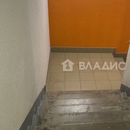 Студия пос. Парголово, проезд Толубеевский, 8к2