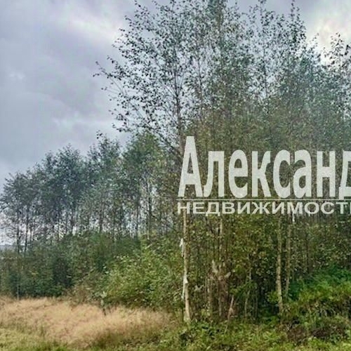 Земельный участок Поселок Большое Поле, проезд 1-й Береговой