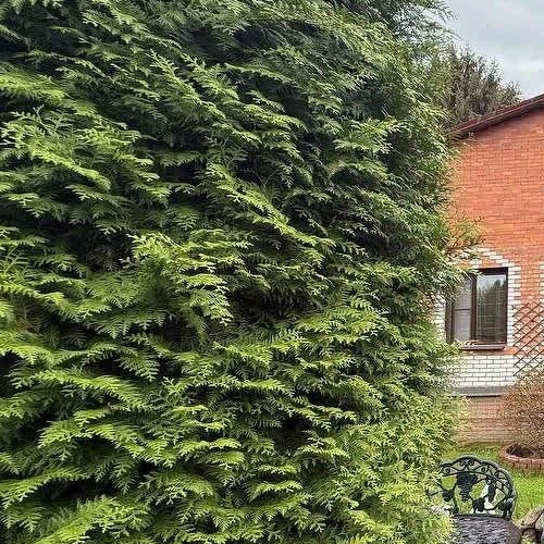 Коттедж/дом д. Кизлярское, 8