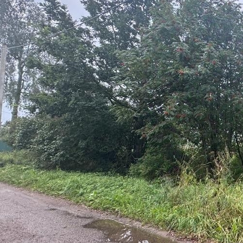 Коттедж/дом д. Медниково, 13