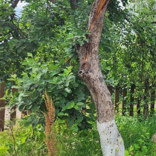 Коттедж/дом Ульяновка пгт, улица Тургенева