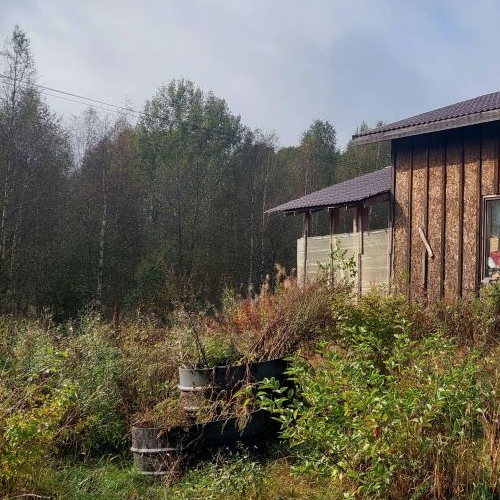 Коттедж/дом пос. Дружноселье, проезд Черничный