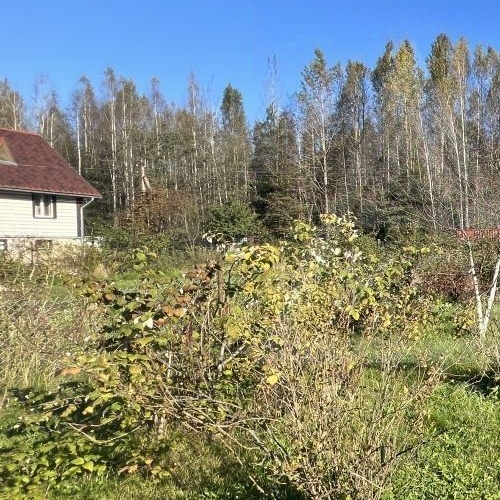 Коттедж/дом Дивенская садоводческий массив, Невмаш СНТ,  д. 372