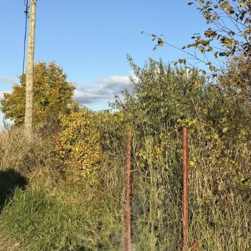 Земельный участок Волжа СНТ, улица 3-я, 14