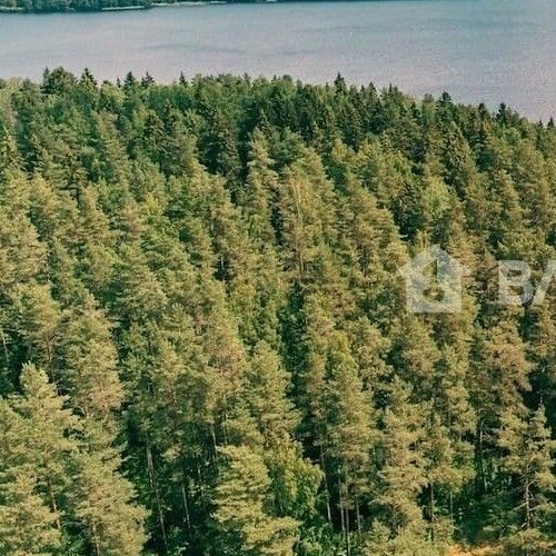 Земельный участок пос. Тарасово, улица Полевая