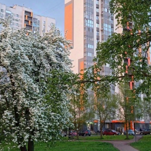 3-комн квартира Южное шоссе, 55к5