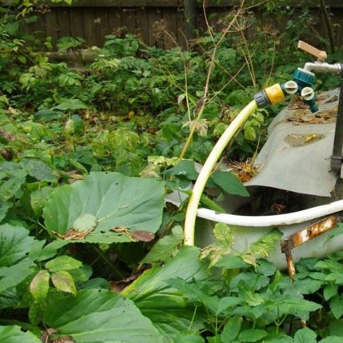 Коттедж/дом Сестрорецк