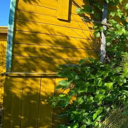 Коттедж/дом Пупышево садоводческий массив, Автомобилист СНТ, 8-я линия