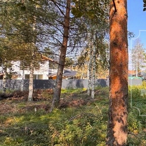 Земельный участок Охтинский парк кп, д. Энколово, улица Левашова