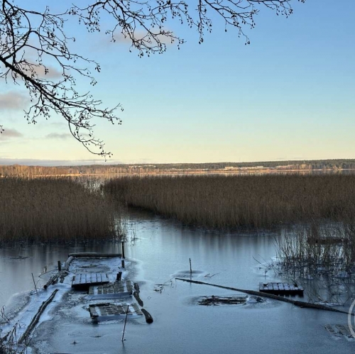 Земельный участок Прибылово пос., Луговая ул. ,  д. 34