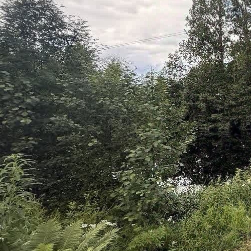 Коттедж/дом Новая Ладога, улица Пролетарский канал, 92