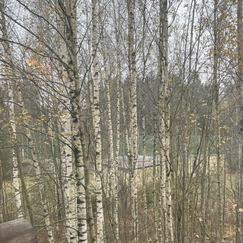 Коттедж/дом пос. Левашово, Горское шоссе, 126