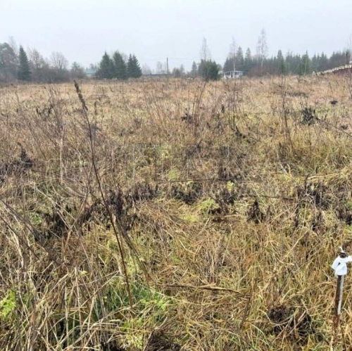 Земельный участок Озертицы, Озертицы д.