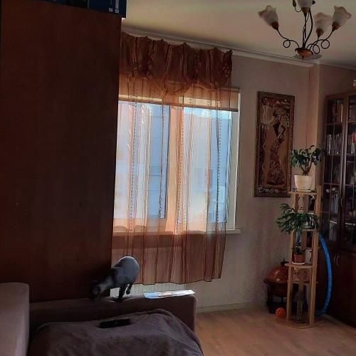 2-комн квартира Петергоф, Ропшинское шоссе, 3к5