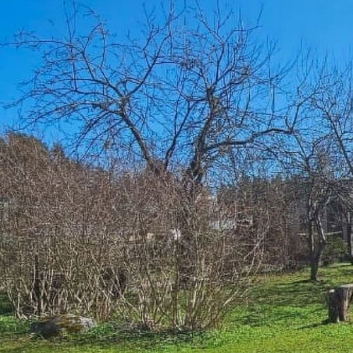 Коттедж/дом Заречный садоводческий массив, Дружба СНТ,  д. 54