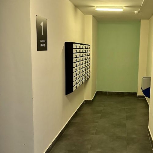 2-комн квартира Мурино, улица Шоссе в Лаврики, 57к3