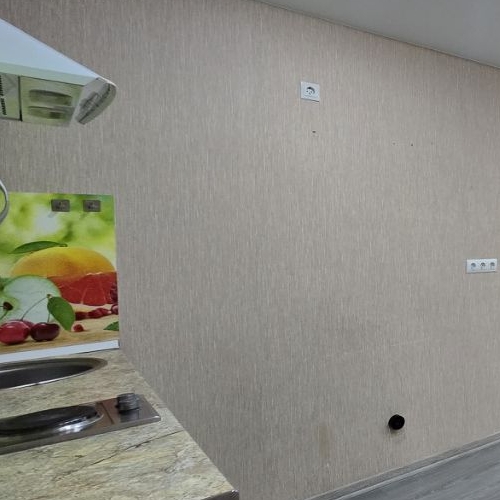 Студия пос. Шушары, Ленсоветовский тер., 23