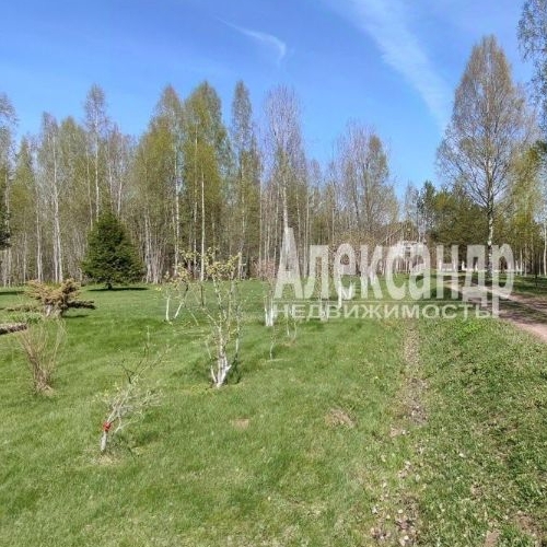 Коттедж/дом д. Отрада, улица Лесная