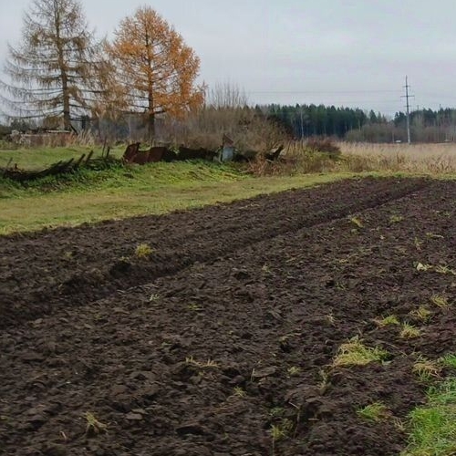 Коттедж/дом д. Пижма, 10