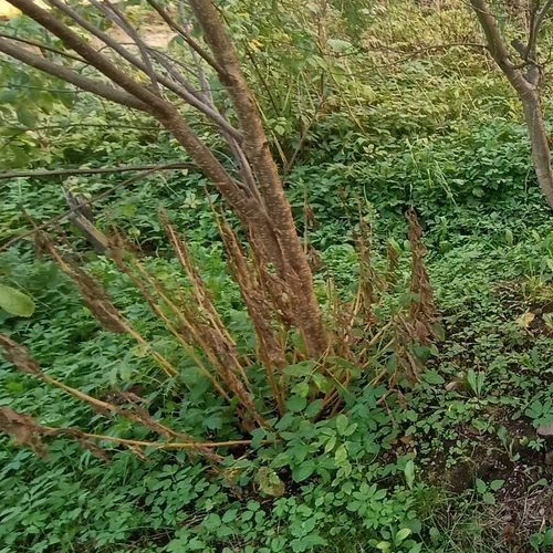 Коттедж/дом Выборг, улица Главная, 58