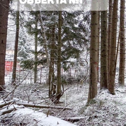 Земельный участок Зеленогорск, улица 2-я Лесная