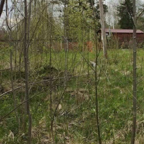 Коттедж/дом Посадников остров садоводческий массив, Кристалл СНТ, 3-я линия, 330