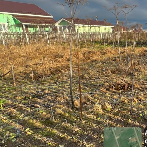 Земельный участок д. Аннолово, проезд 1-й Кошелевский,  д. 10