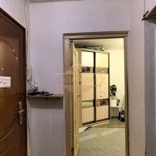 1-комн квартира Просвещения пр-кт,  д. 24/2