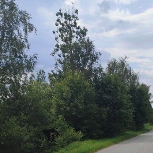 Коттедж/дом Бабино садоводческий массив, Корабел СНТ, 11-я линия,  д. 463