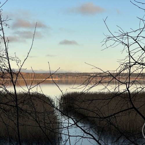 Земельный участок Прибылово пос., Луговая ул. ,  д. 34