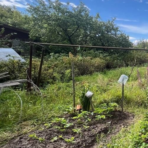 Земельный участок пос. Белоостров, СИЗ СНТ, дорога 5-я, 11