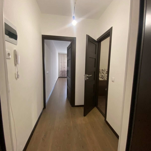 1-комн квартира Ветеранов пр-кт,  д. 14,  к. 2