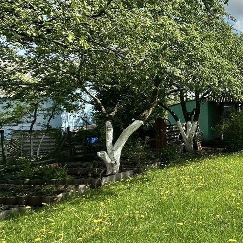 Коттедж/дом Кировец-1 садоводческий массив, Прометей СНТ, улица Березовая,  д. 180