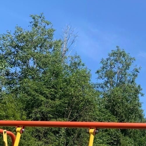 Коттедж/дом Мшинская садоводческий массив, Пролетарец СНТ,  д. 486