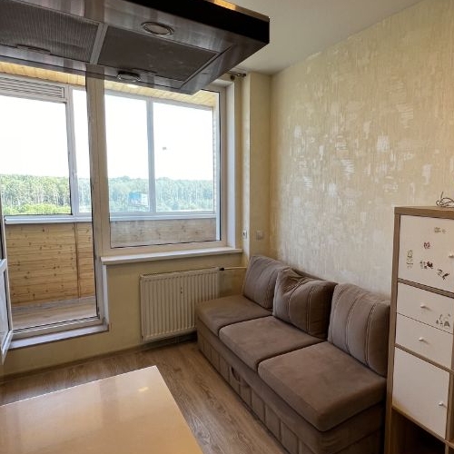 Студия Кудрово г., улица Пражская, 15