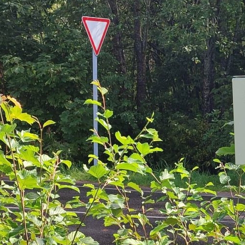 Земельный участок пос. Мичуринское, улица Заозерная