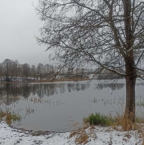 Земельный участок Старая Середка дер.