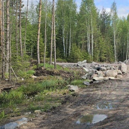 Земельный участок Смольнинское СНТ, 316