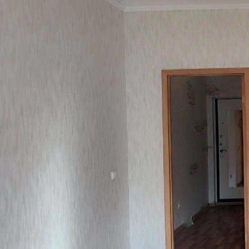 Студия Всеволожск, улица Шишканя, 14