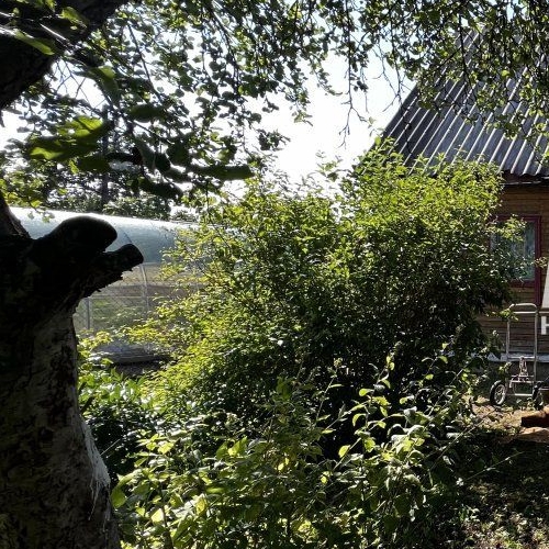 Коттедж/дом Заречный садоводческий массив, Дружба СНТ,  д. 54