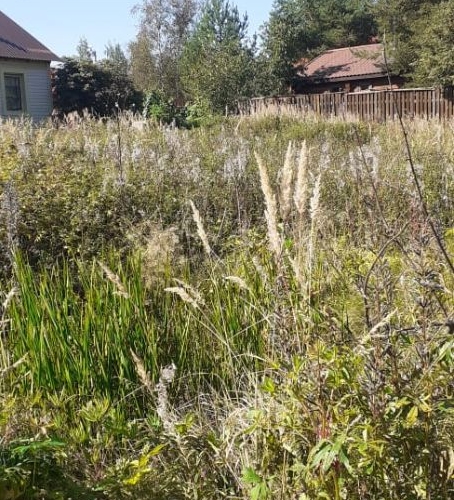 Земельный участок СНТ Фауна нп