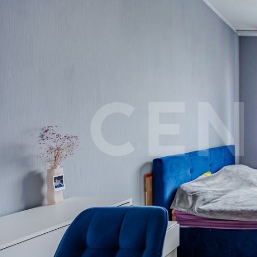 Студия пос. Парголово, проезд Толубеевский, 8к2