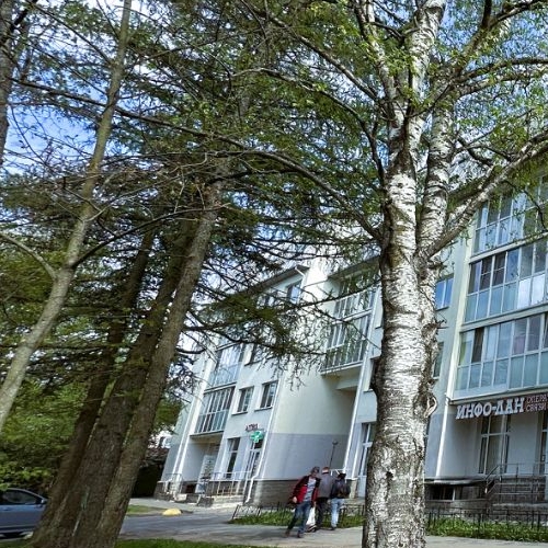 Студия Петергоф, Петергофская улица, 8