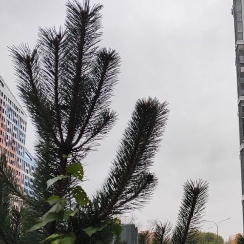 Студия Октябрьская набережная, 44